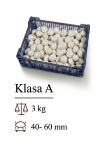 A 1