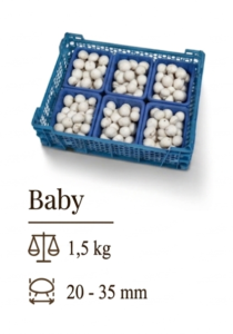 Baby 1
