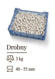 Drobny 1