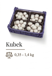 Kubek 1