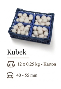 Kubek 10 -P