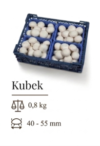 Kubek 11 -P