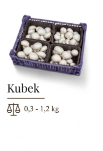 Kubek 3