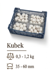 Kubek 4