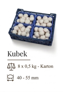 Kubek 7 -P