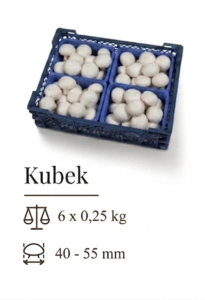 Kubek 9 -P