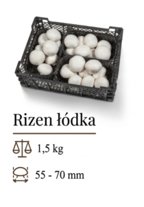 Rizen 3